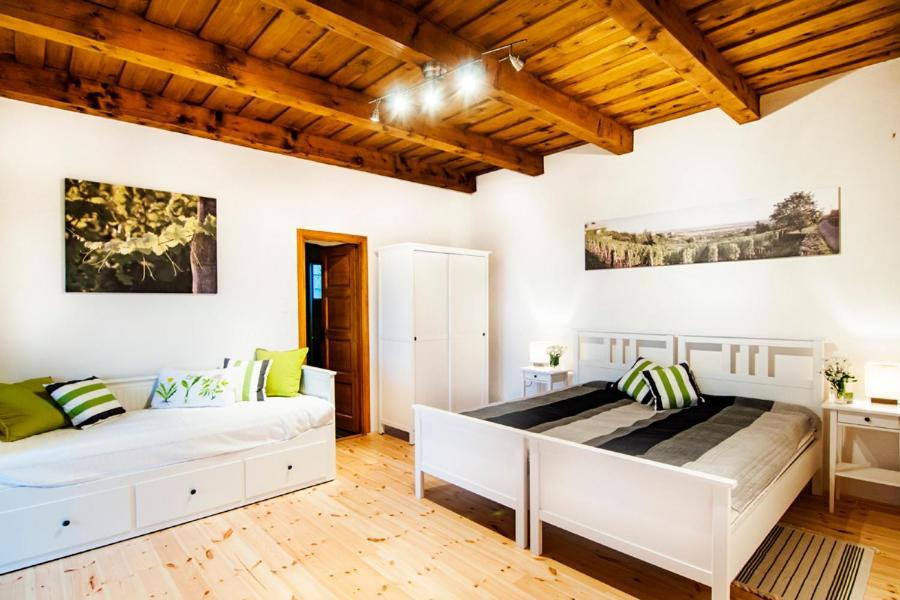 Aparthotel Sed Pince Vendeghaz Somlojeno Exterior foto